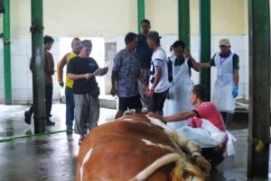 img 20260529 wa0042