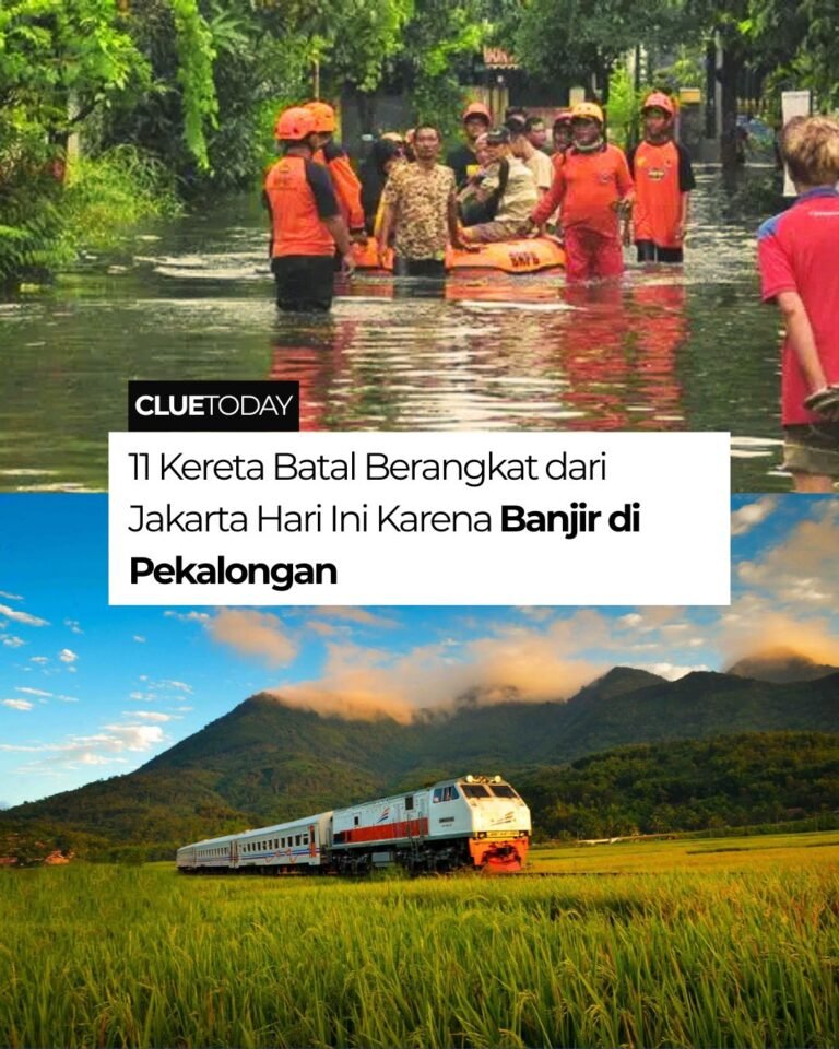 img 20260119 wa0015