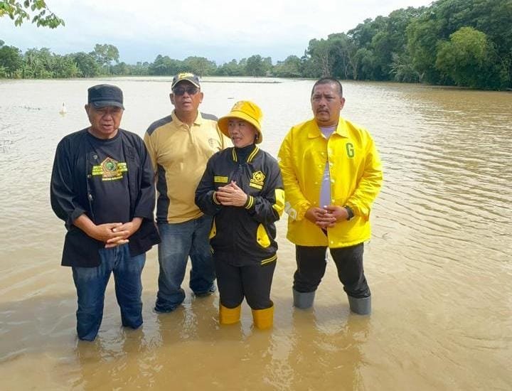 img 20260125 wa0067(1)