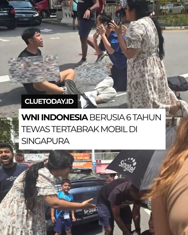 img 20260210 wa0005