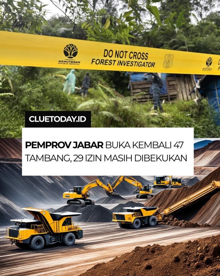 img 20260211 wa0020