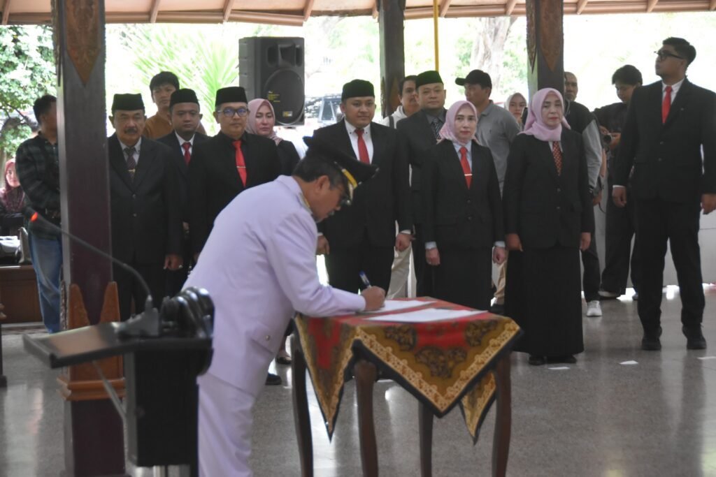 whatsapp image 2026 02 24 at 22.34.40