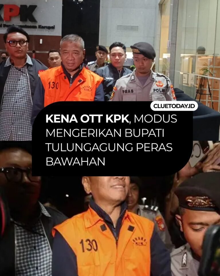 whatsapp image 2026 04 13 at 16.12.46