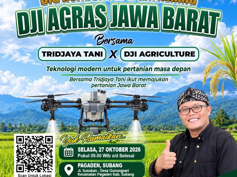 img 20261026 wa0039