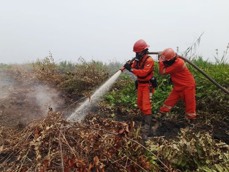 kebakaran hutan dan lahan